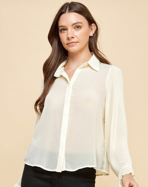 Sheer Chiffon Pleated Blouse